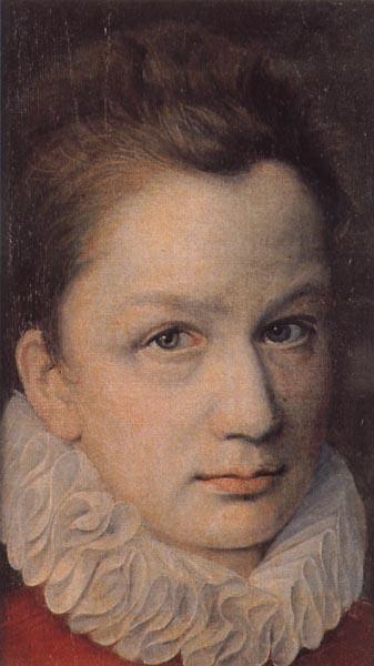 DUMOUSTIER, Pierre Portrait of a Youth